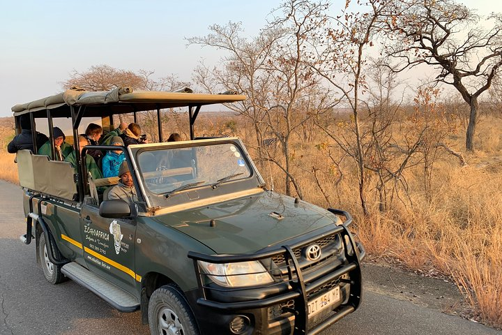 Ultimate Safari to Pilanesberg National Park From Johannesburg - Photo 1 of 10